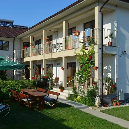 Azaleea ואמה וקה