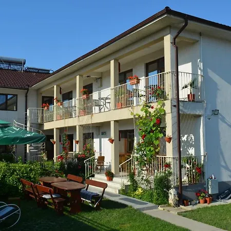 Azaleea Vama Veche
